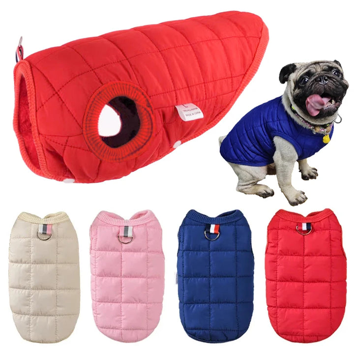 Winter Pet Cotton Jacket for Small and Medium Dogs